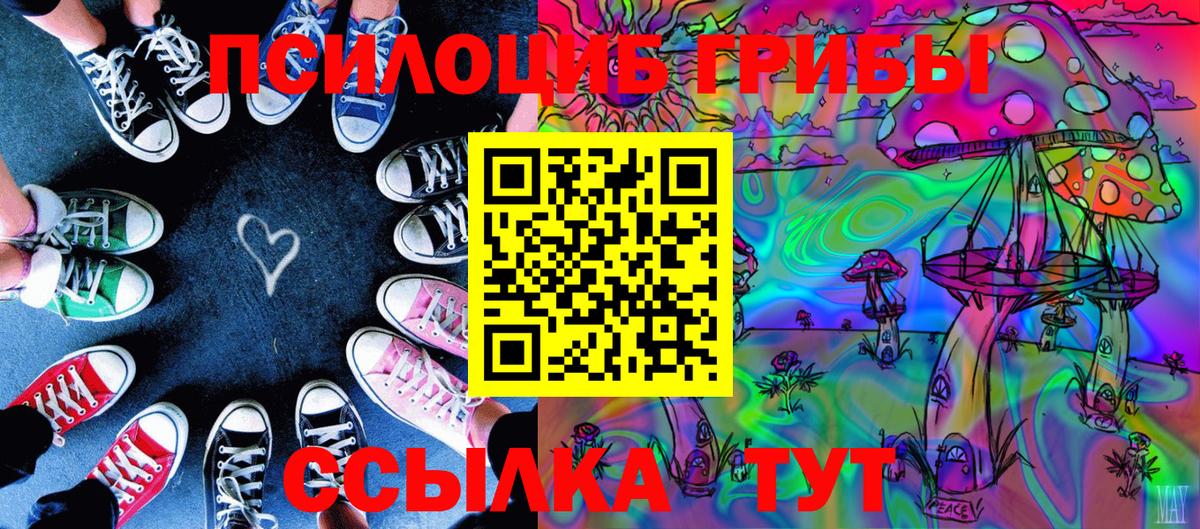 Новокубанск  Псилоцибиновые грибы GOLDEN TEACHER  Псилоцибиновые грибы Magic Shrooms  Вход с VPN 