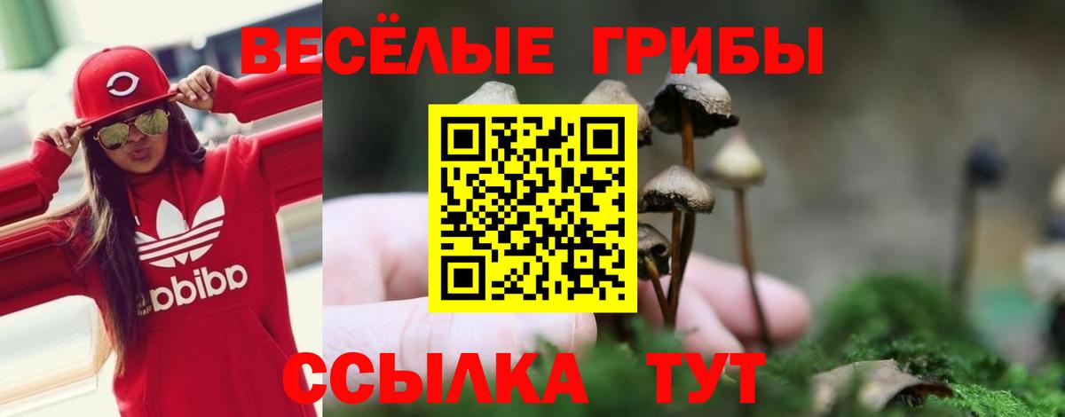 Галлюциногенные грибы прущие грибы Новокубанск